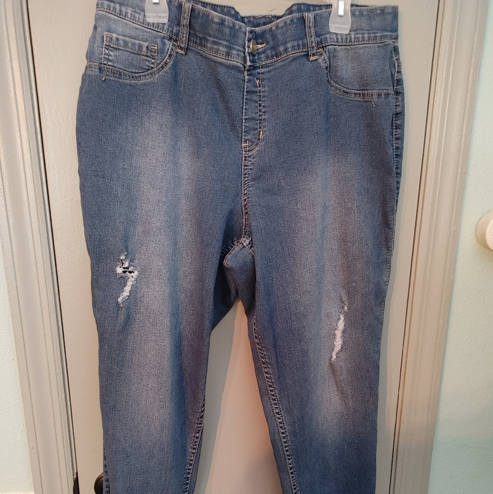 Lane Bryant Jeans